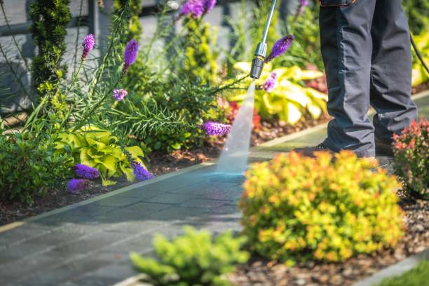 Best Post-Construction Pressure Washing  in Dacula, GA